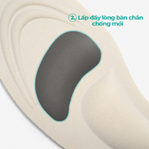 Lót Giày 4D MINSU miếng lót giày thể thao nam nữ
